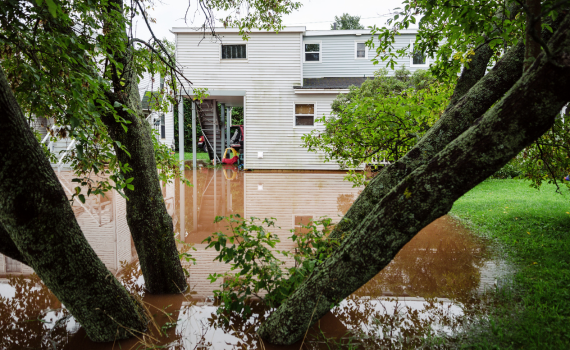 Tips to Keep In Mind after Flooding